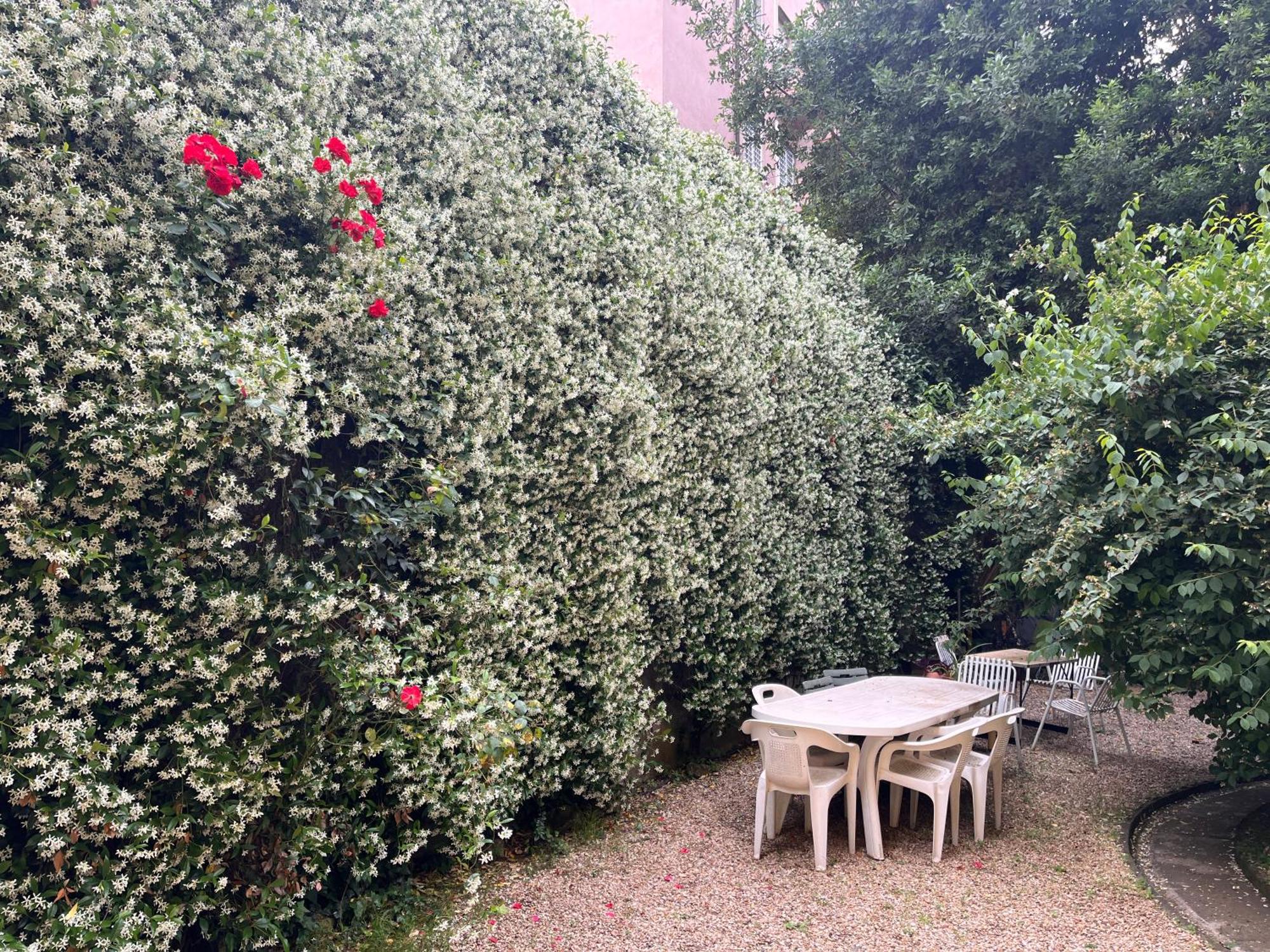 Barberina Apartamento